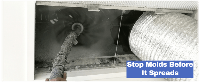 Air Duct Mold Removal in Cleburne TX