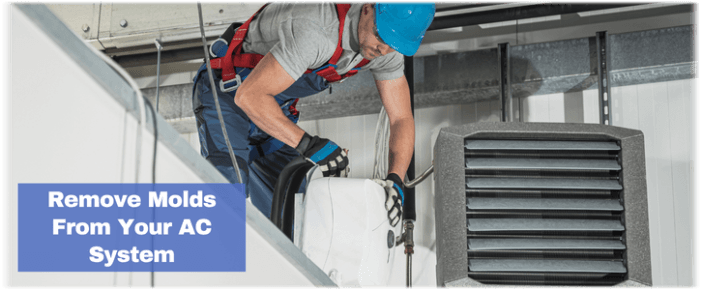 HVAC Mold Removal Cleburne TX